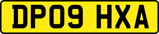 DP09HXA