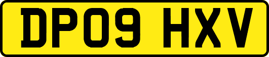 DP09HXV