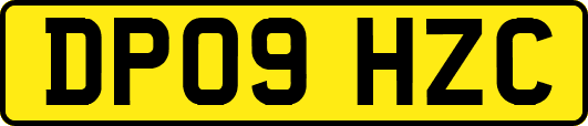 DP09HZC