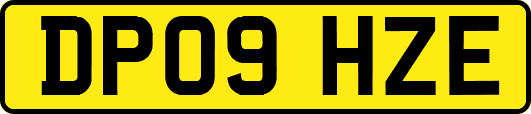 DP09HZE