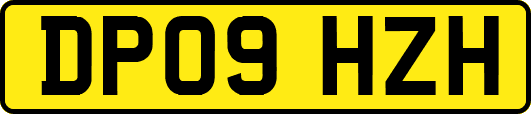 DP09HZH