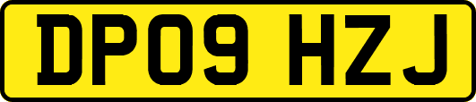 DP09HZJ
