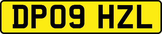 DP09HZL