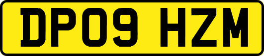 DP09HZM