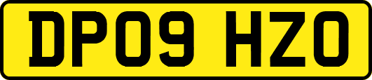 DP09HZO