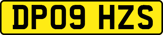 DP09HZS