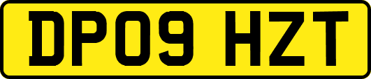 DP09HZT