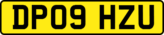 DP09HZU