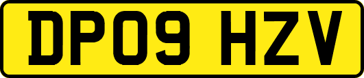 DP09HZV