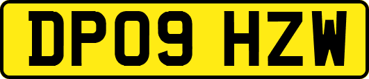 DP09HZW