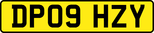 DP09HZY