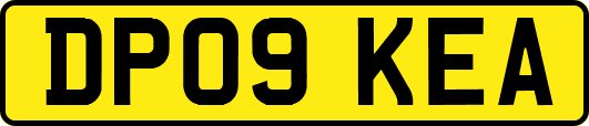 DP09KEA