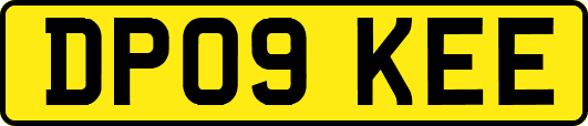 DP09KEE