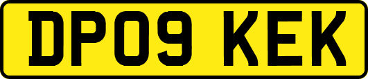 DP09KEK