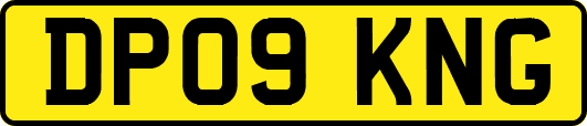 DP09KNG