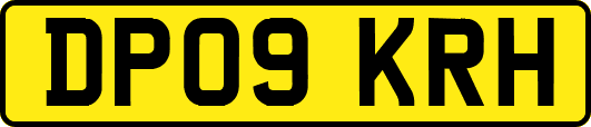 DP09KRH