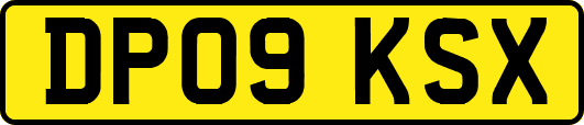DP09KSX