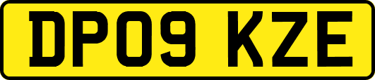 DP09KZE