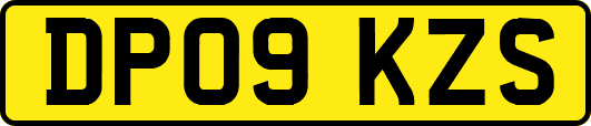 DP09KZS
