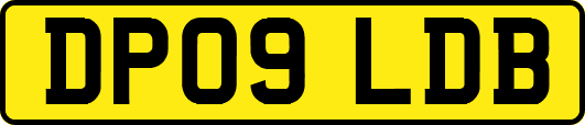 DP09LDB