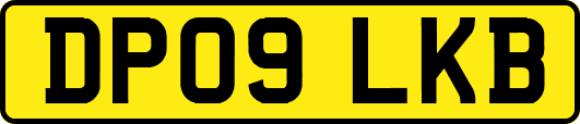 DP09LKB
