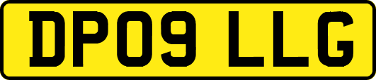 DP09LLG