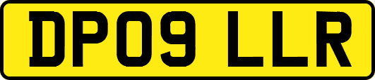 DP09LLR