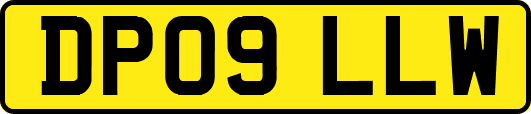 DP09LLW