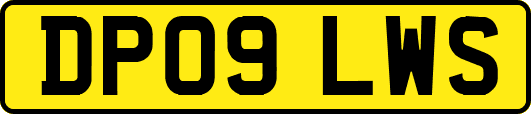 DP09LWS