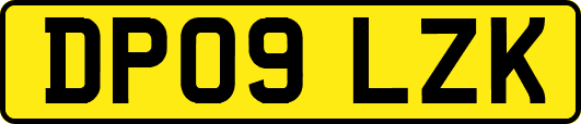 DP09LZK