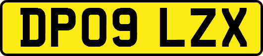 DP09LZX