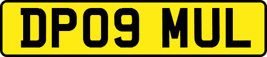 DP09MUL