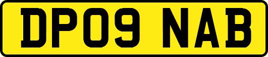 DP09NAB