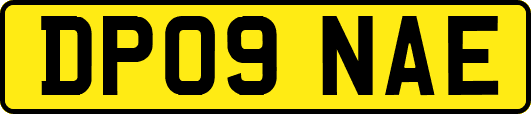 DP09NAE