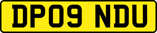 DP09NDU