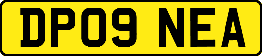 DP09NEA