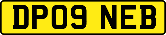 DP09NEB