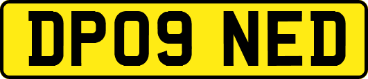 DP09NED