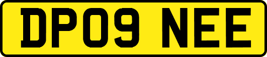 DP09NEE