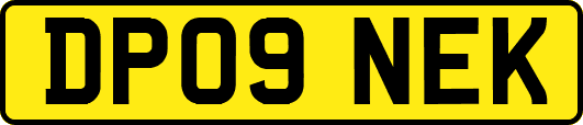 DP09NEK