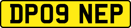 DP09NEP