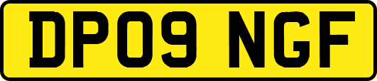 DP09NGF