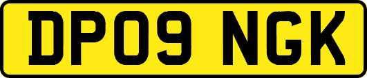 DP09NGK