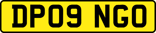 DP09NGO