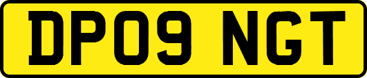 DP09NGT