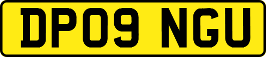 DP09NGU