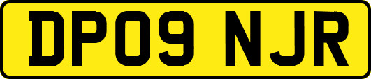 DP09NJR