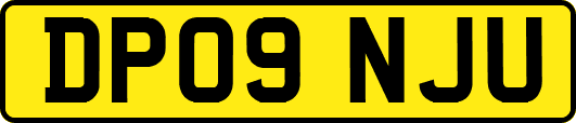 DP09NJU