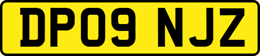 DP09NJZ