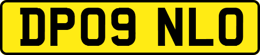 DP09NLO